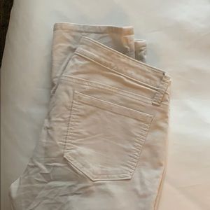 Ann Taylor Loft Cords.  Inventory #C20